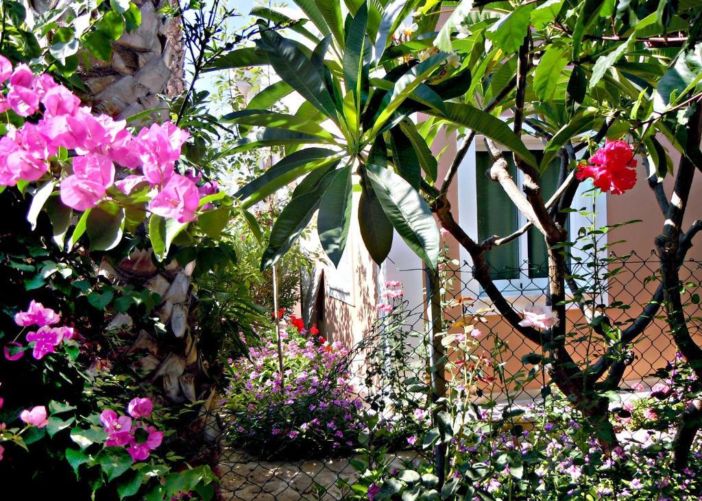 Rododafni Villas Klorakas Dış mekan fotoğraf