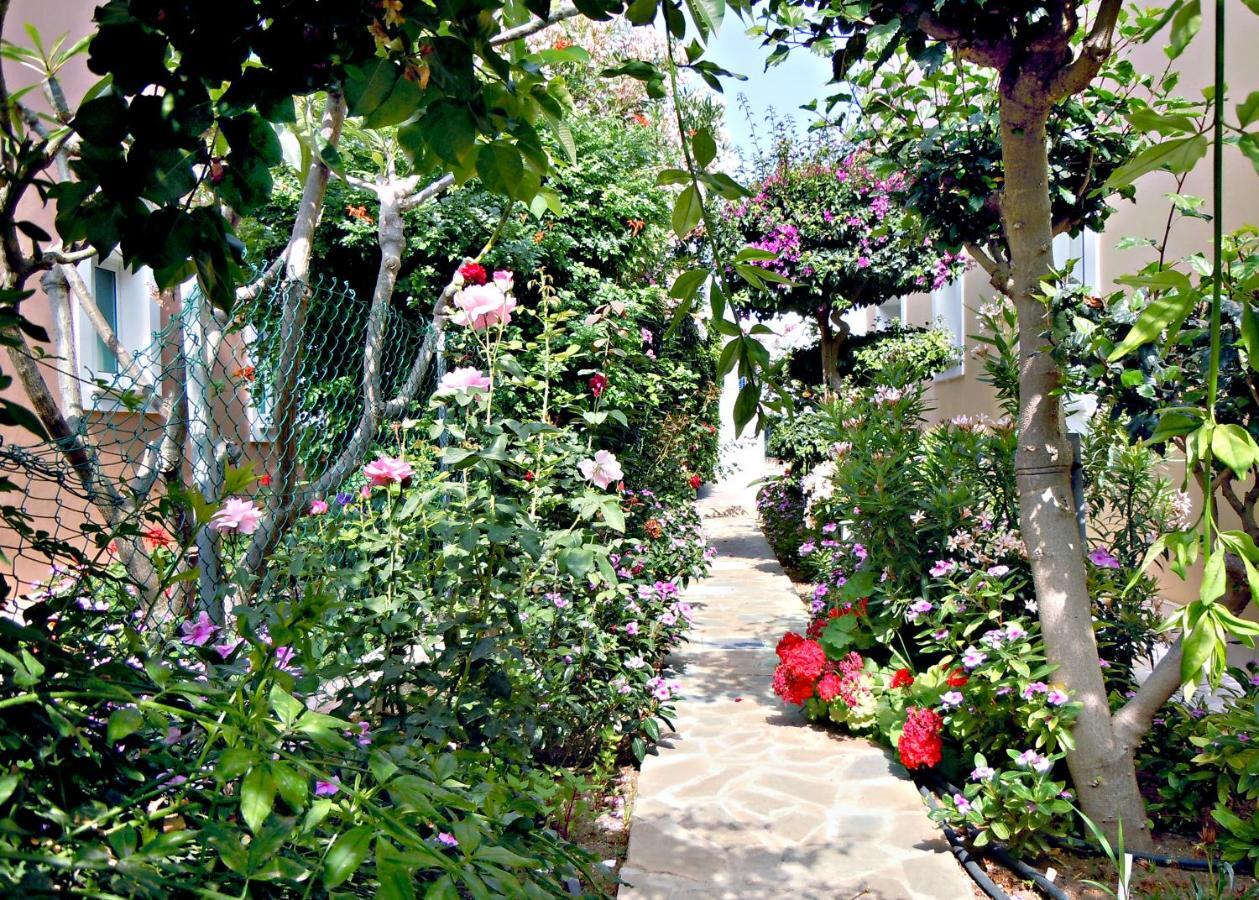 Rododafni Villas Klorakas Dış mekan fotoğraf
